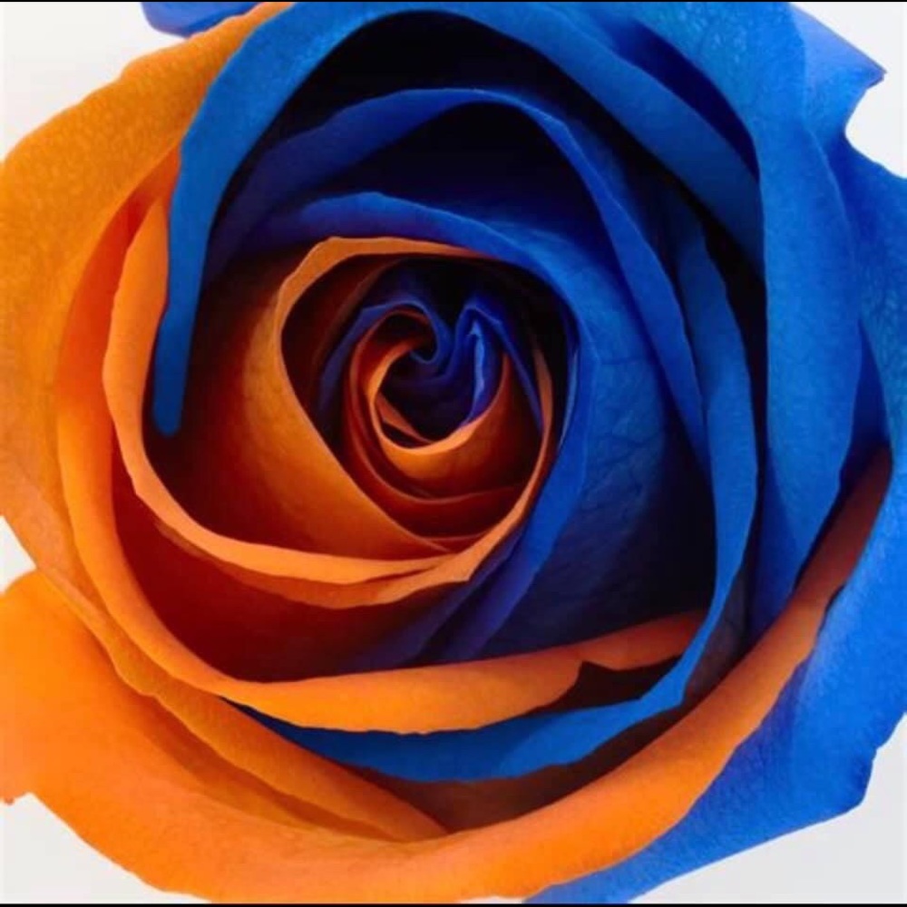 Meet your Posher, Christy